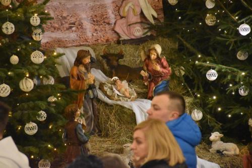 ds5-0025-2500-1600-80