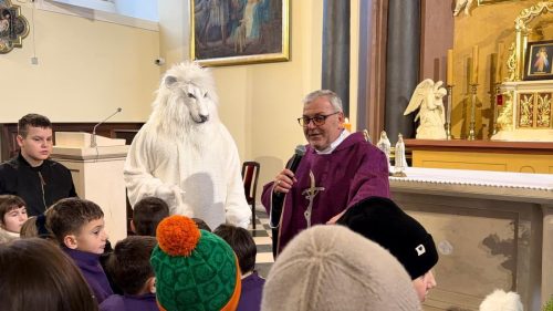 591702113 1267537718748792 6058290400307329590 n